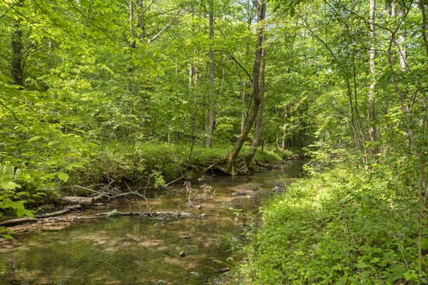 1240 Tanner Hollow Road Centerville TN 37033