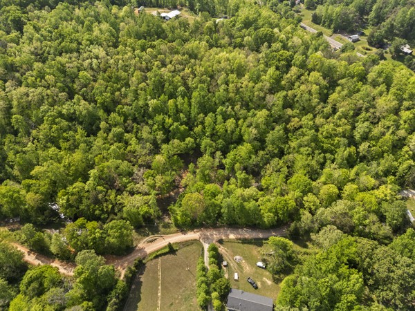 1240 Tanner Hollow Road Centerville TN 37033