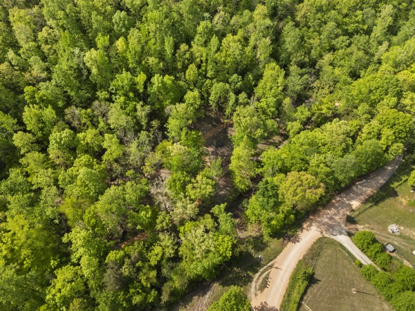 1240 Tanner Hollow Road Centerville TN 37033