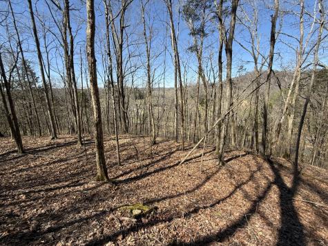 0 Bugg Hollow Gallatin TN 37066