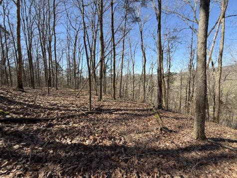 0 Bugg Hollow Gallatin TN 37066