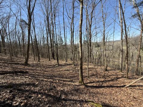 0 Bugg Hollow Gallatin TN 37066