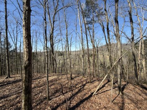 0 Bugg Hollow Gallatin TN 37066