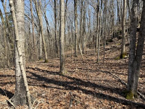 0 Bugg Hollow Gallatin TN 37066