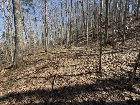 0 Bugg Hollow Gallatin TN 37066