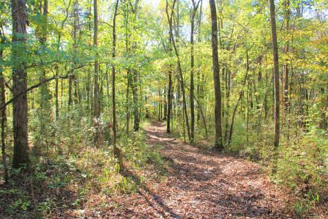 143 Swiper Drive Smithville TN 37166
