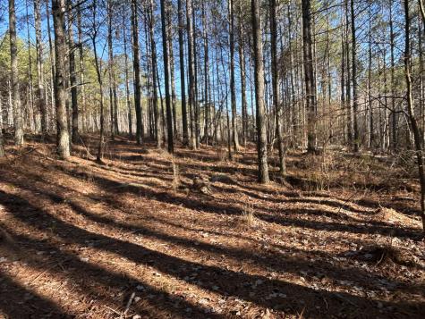 940 Crockett Point Jasper TN 37347