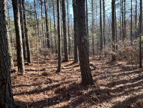 940 Crockett Point Jasper TN 37347