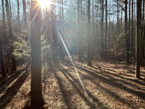 940 Crockett Point Jasper TN 37347