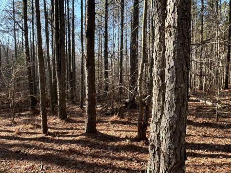 940 Crockett Point Jasper TN 37347