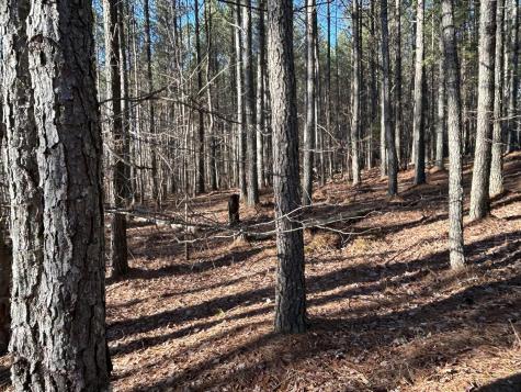 940 Crockett Point Jasper TN 37347