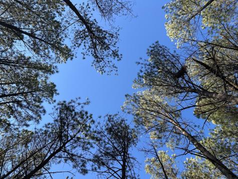 940 Crockett Point Jasper TN 37347