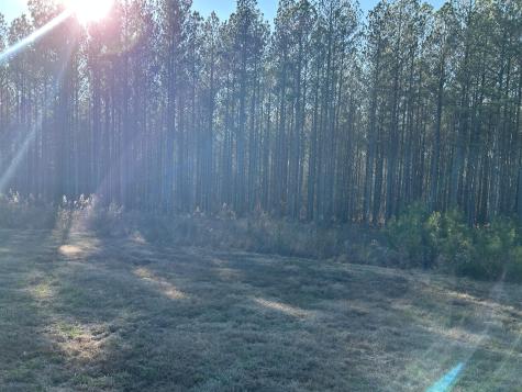 940 Crockett Point Jasper TN 37347