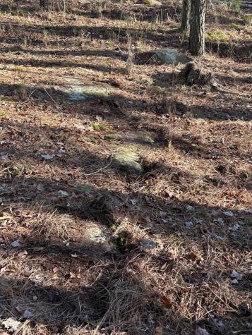 940 Crockett Point Jasper TN 37347