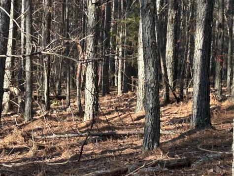 940 Crockett Point Jasper TN 37347