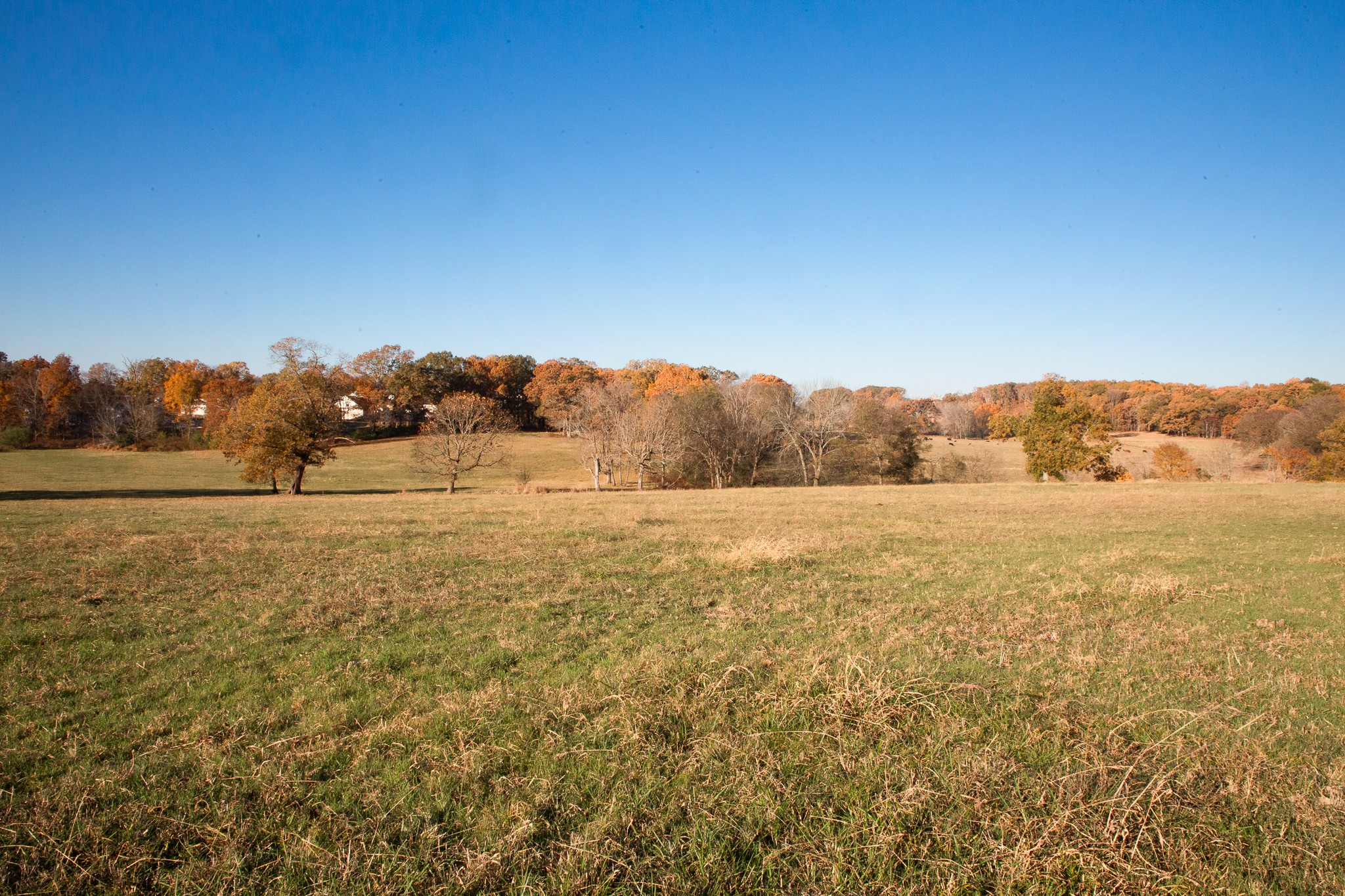 7252 Northwest Highway Fairview TN 37062