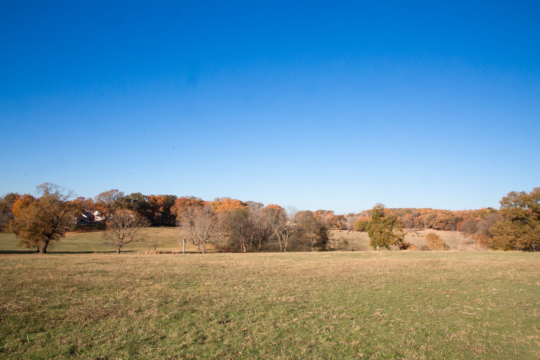 7252 Northwest Highway Fairview TN 37062