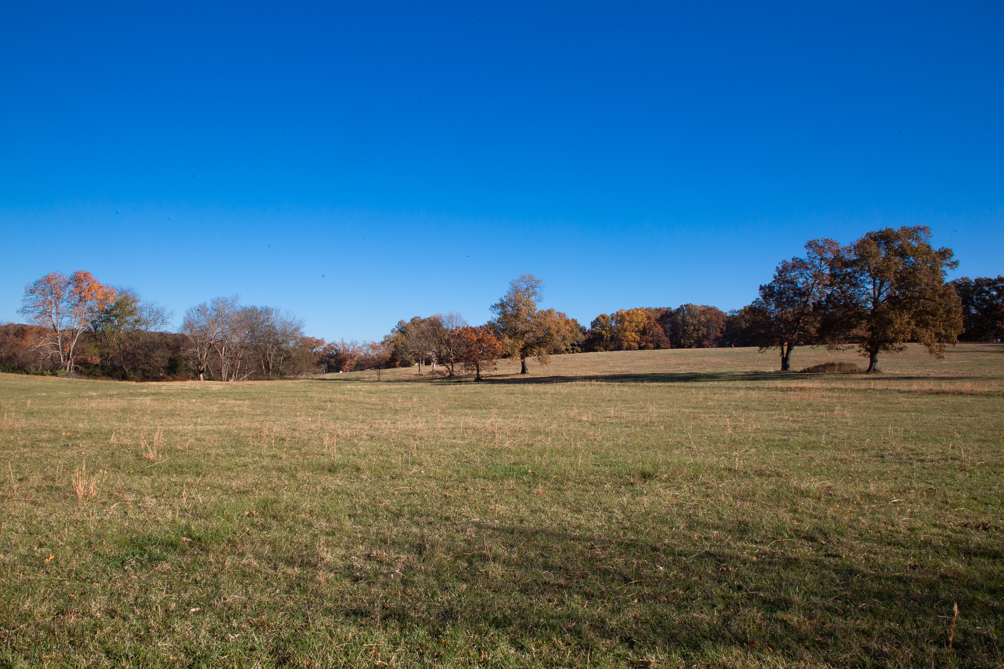 7252 Northwest Highway Fairview TN 37062