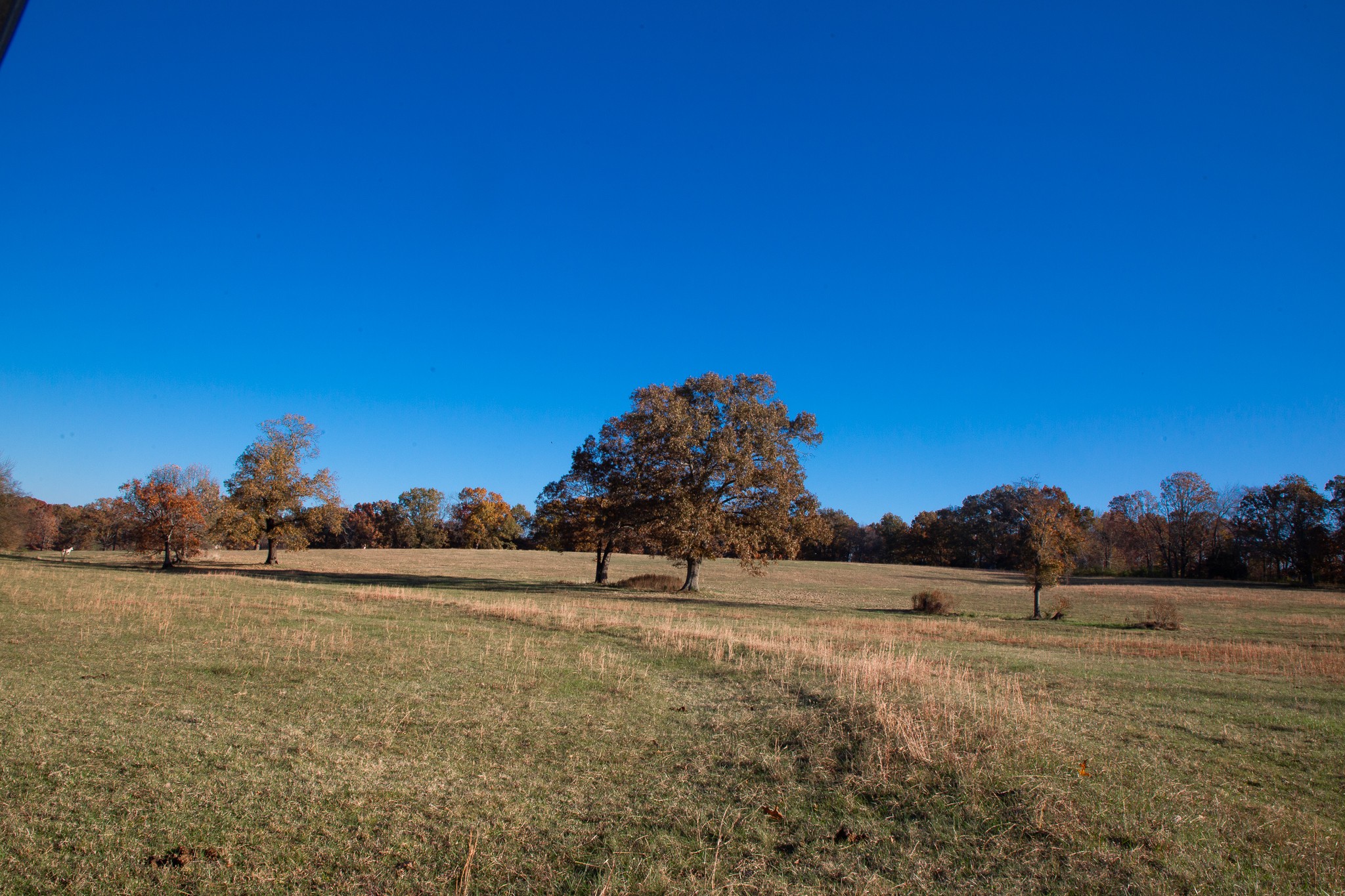 7252 Northwest Highway Fairview TN 37062