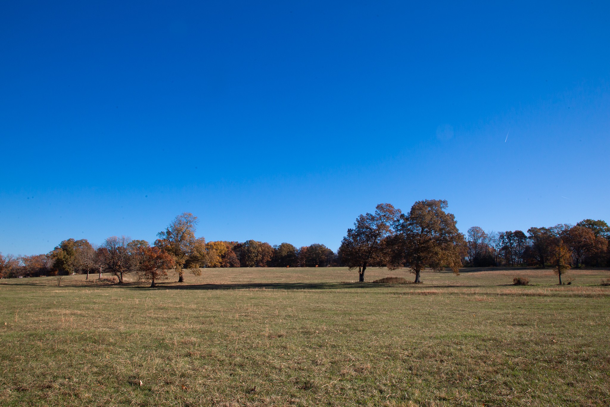 7252 Northwest Highway Fairview TN 37062