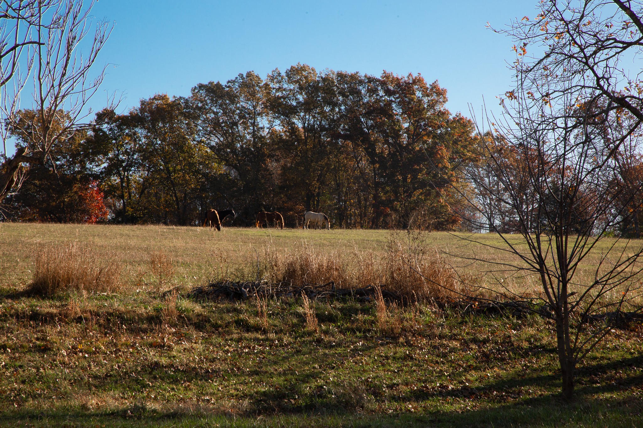 7252 Northwest Highway Fairview TN 37062