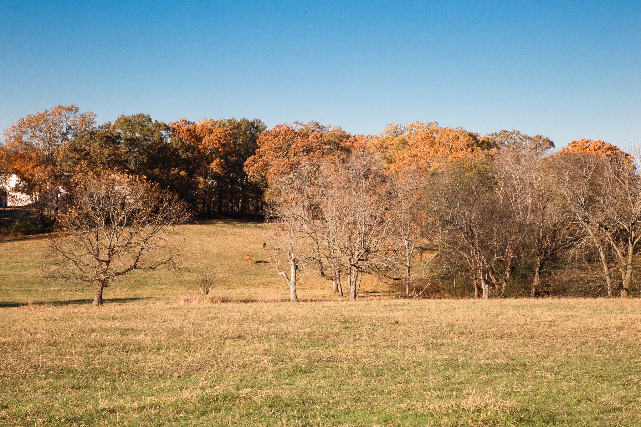7252 Northwest Highway Fairview TN 37062