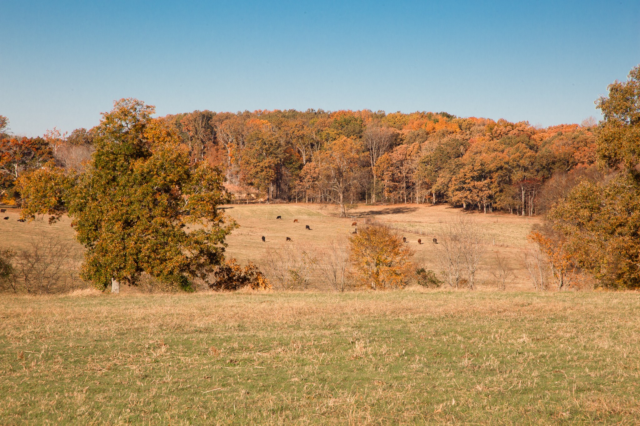7252 Northwest Highway Fairview TN 37062