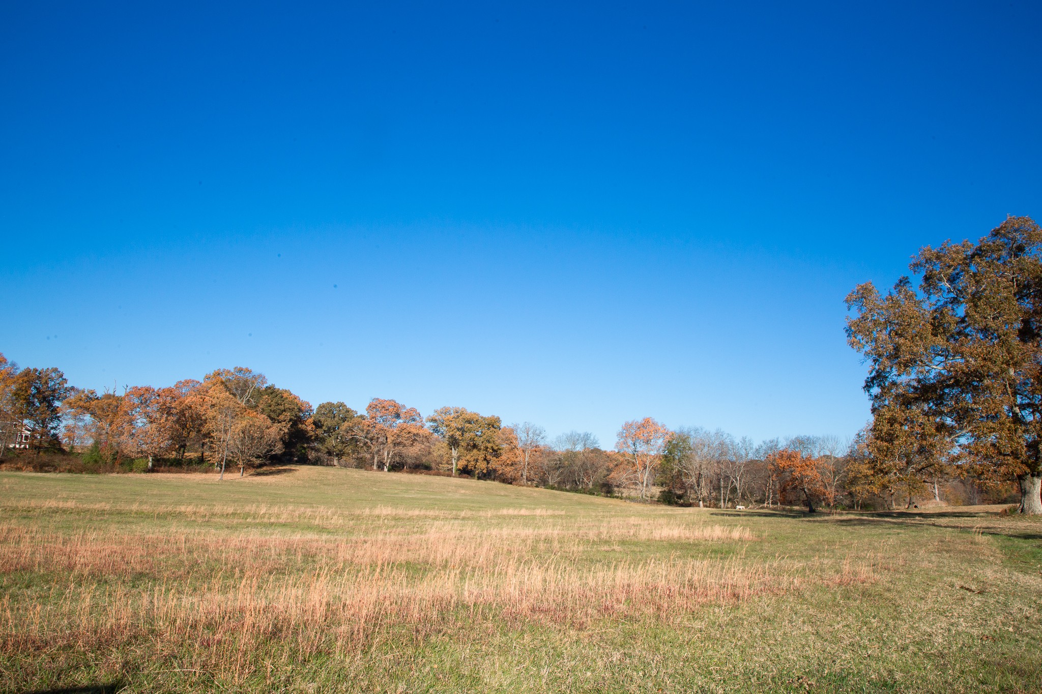 7252 Northwest Highway Fairview TN 37062