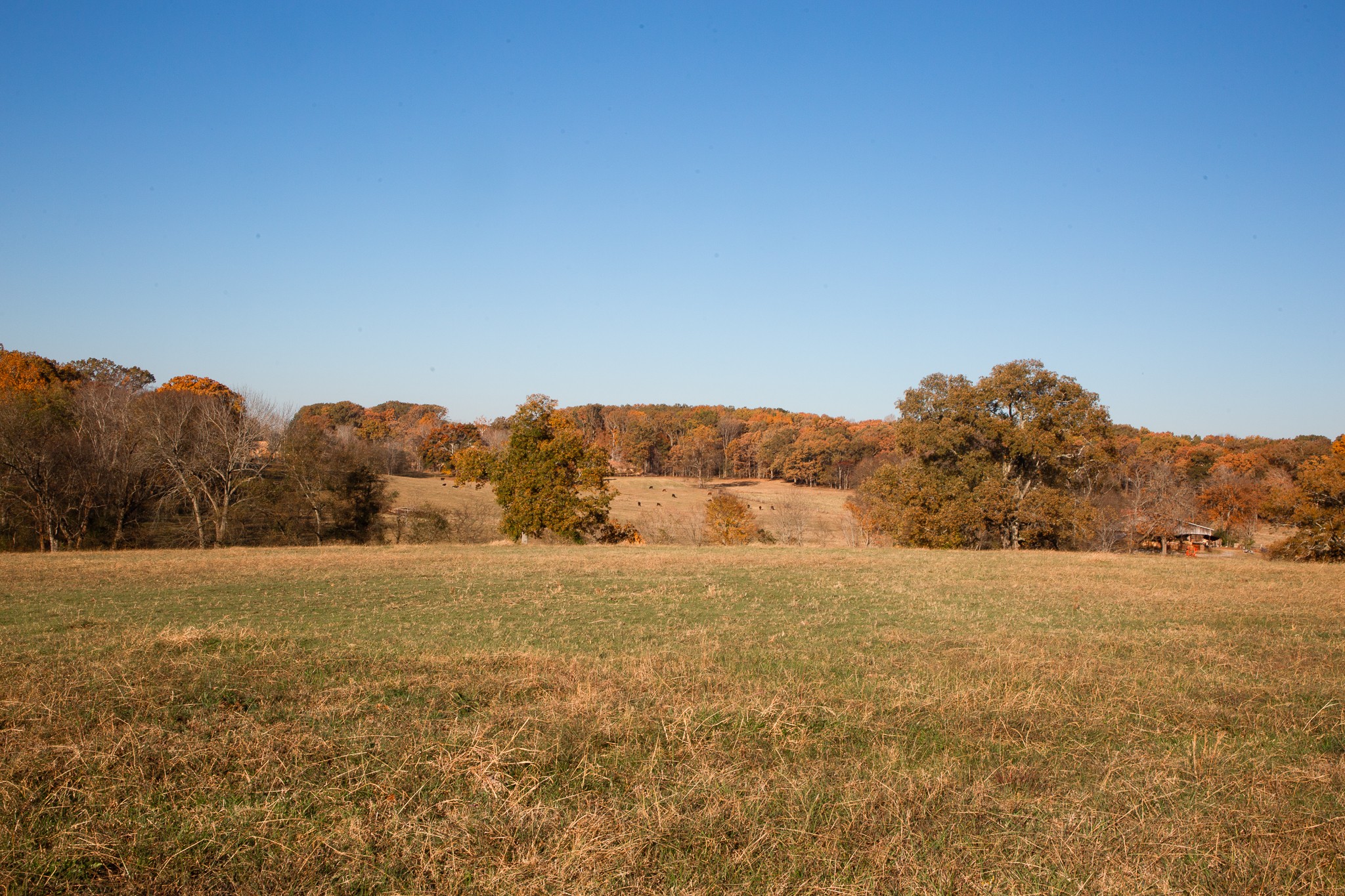 7252 Northwest Highway Fairview TN 37062