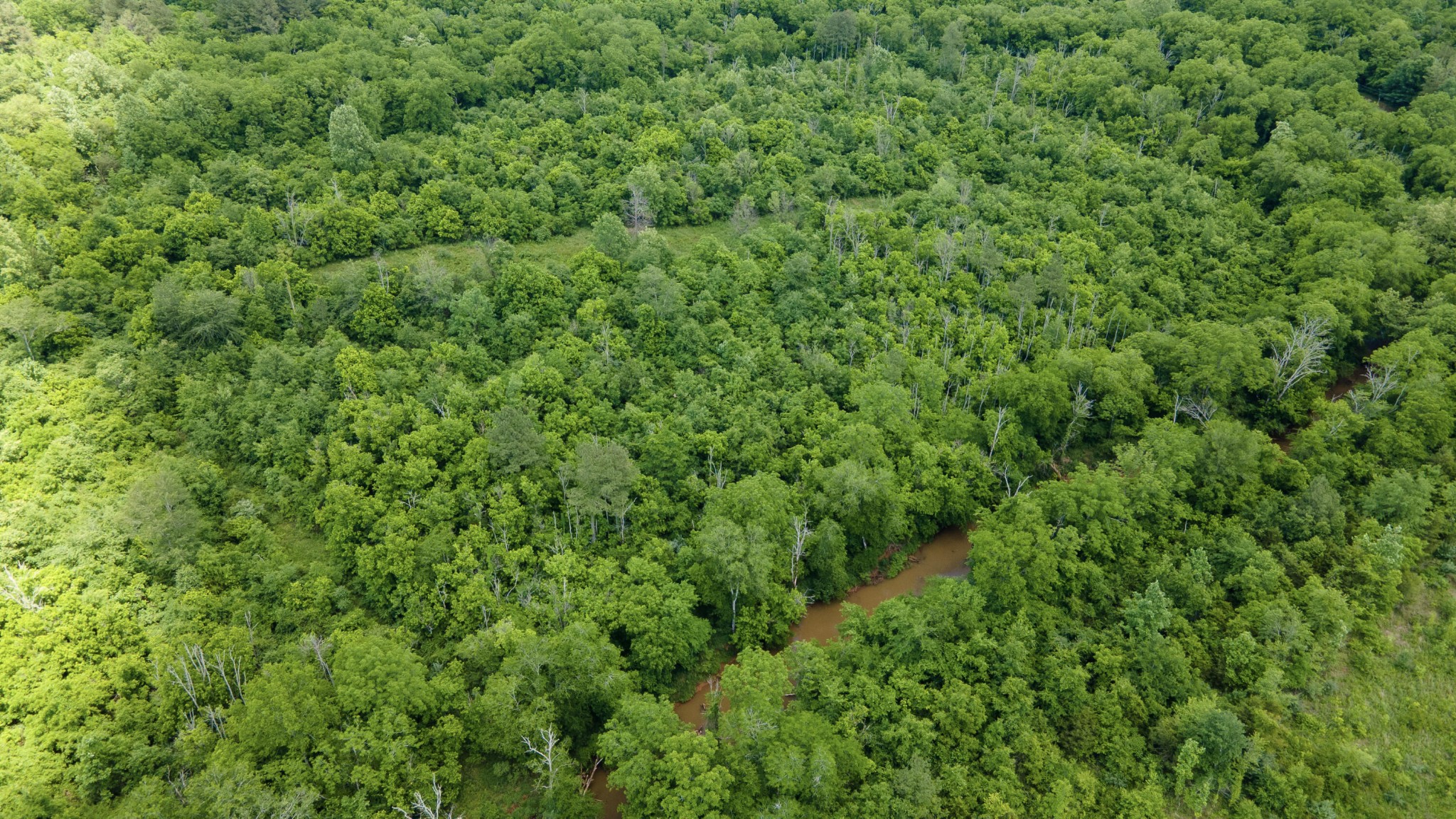 2 State Highway 163 Calhoun TN 37309