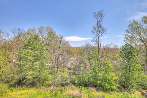 147 Canton Ct, NW Goodlettsville TN 37072
