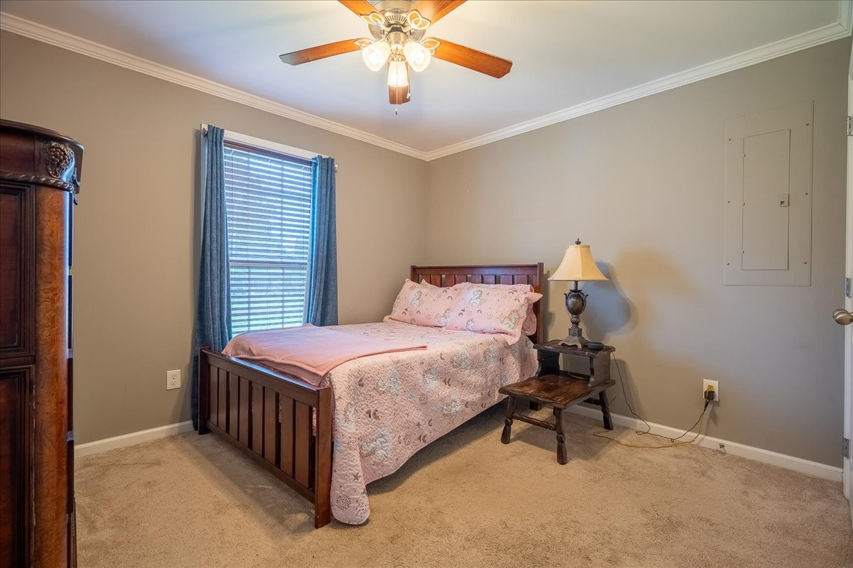 30 Taylor Circle Ethridge TN 38456