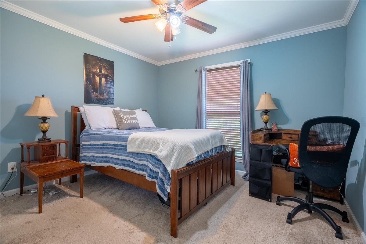 30 Taylor Circle Ethridge TN 38456