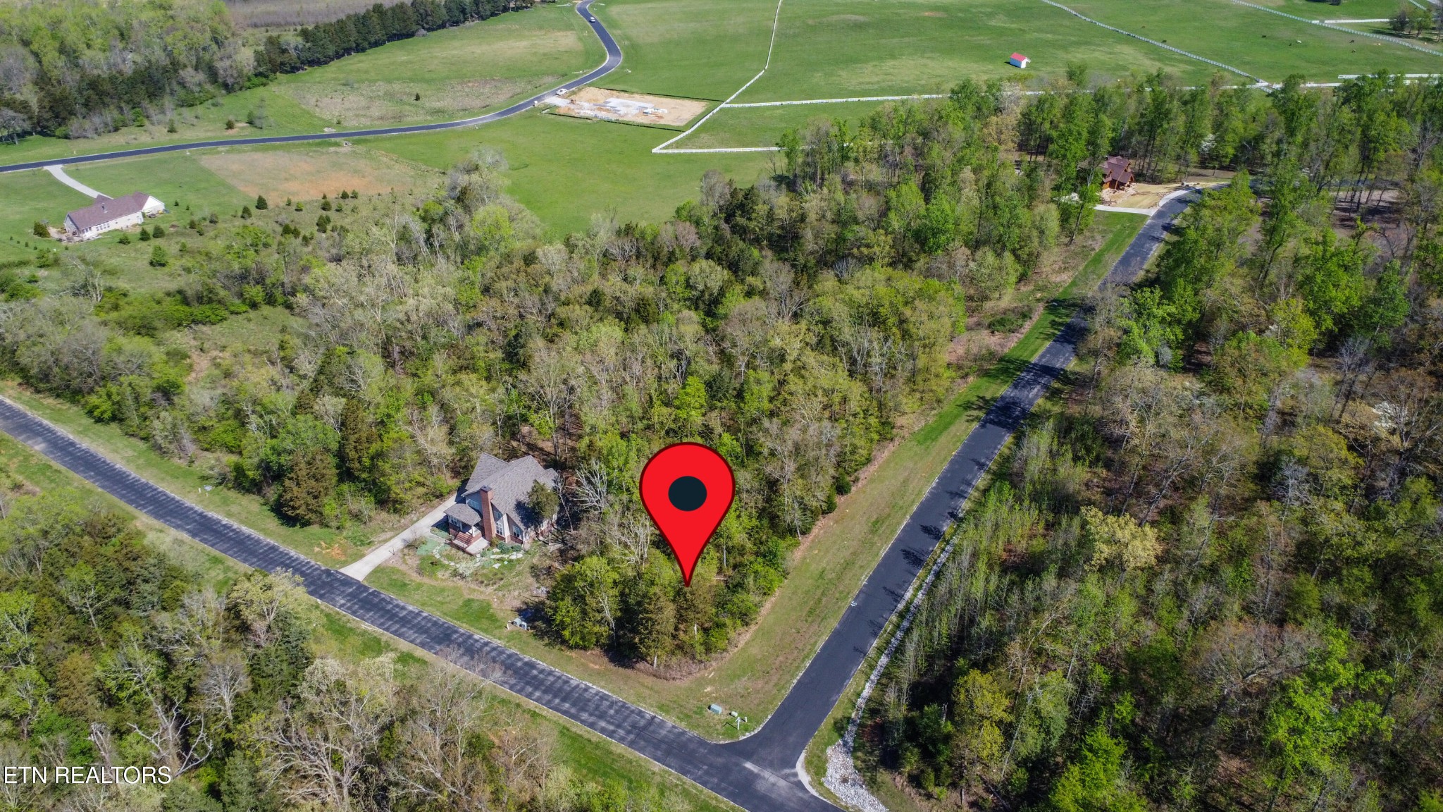 359 Walking Horse Trail Rockwood TN 37854