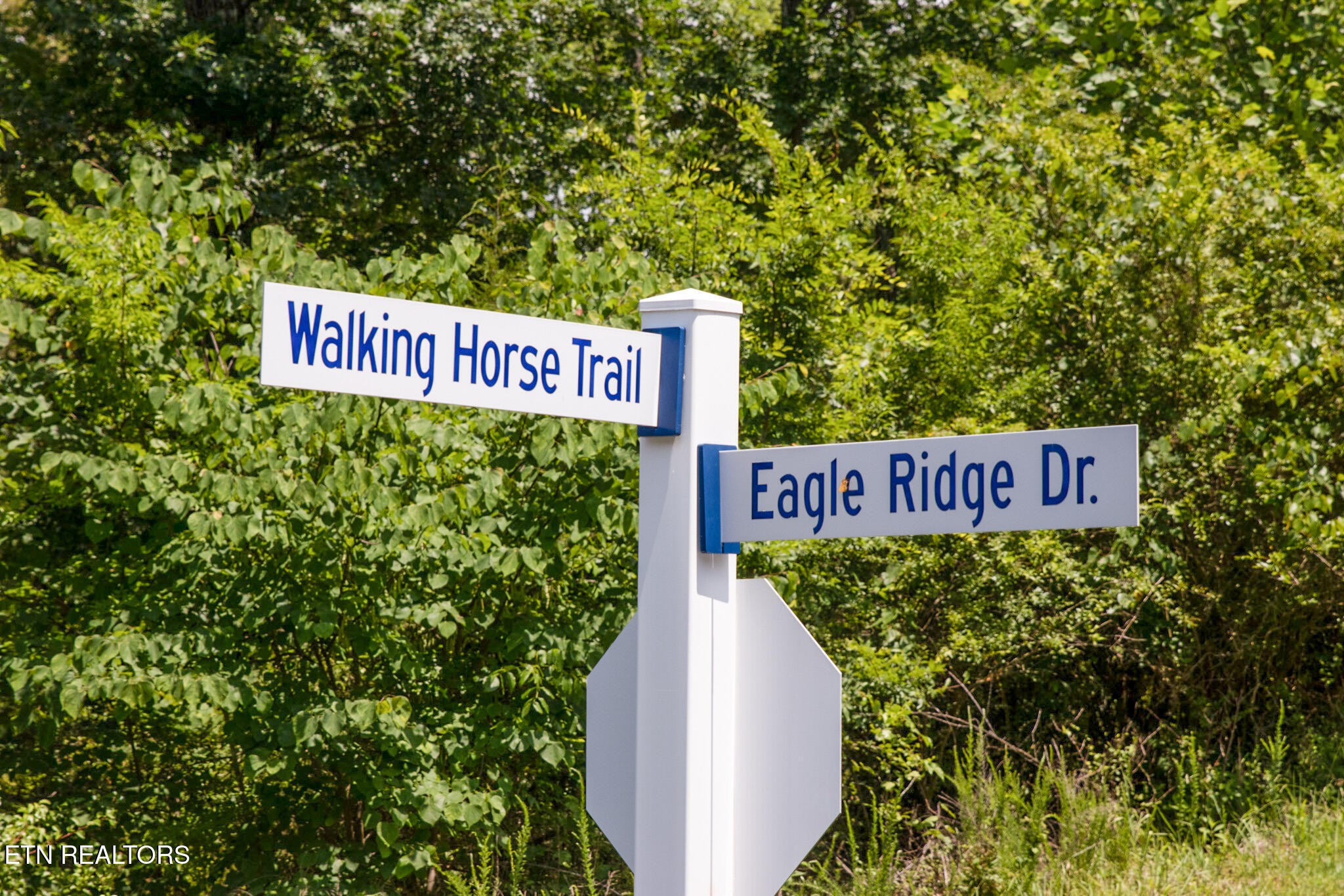 359 Walking Horse Trail Rockwood TN 37854