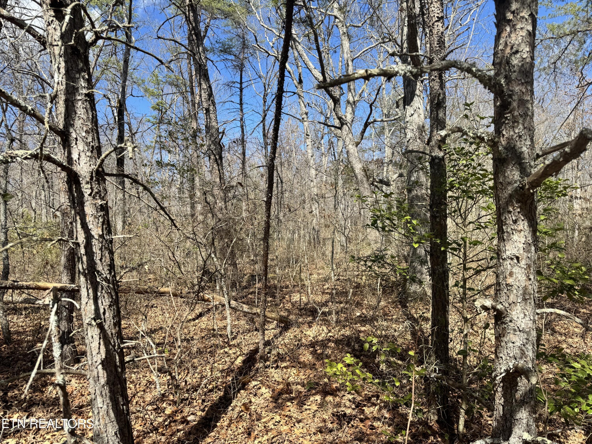0 Divide Trail Monterey TN 38574