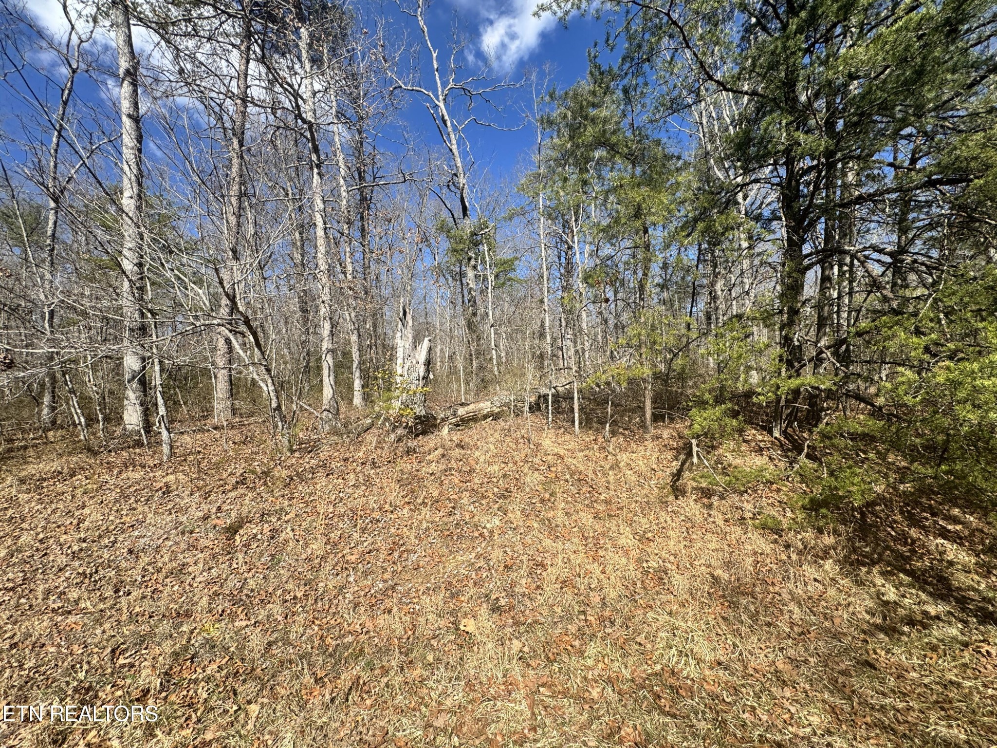 0 Divide Trail Monterey TN 38574