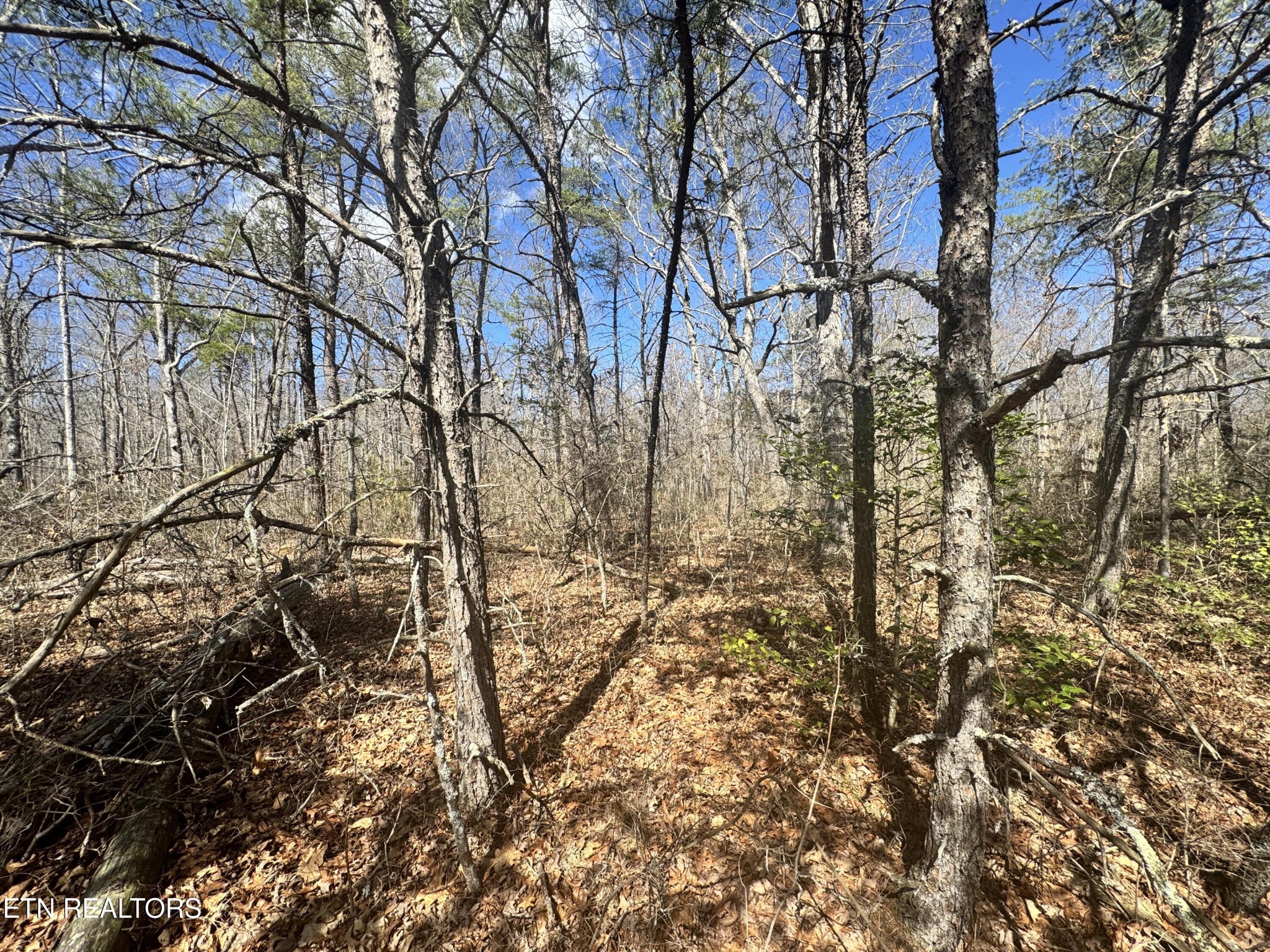 0 Divide Trail Monterey TN 38574