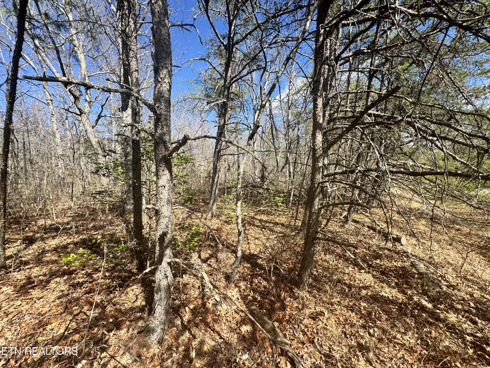 0 Divide Trail Monterey TN 38574