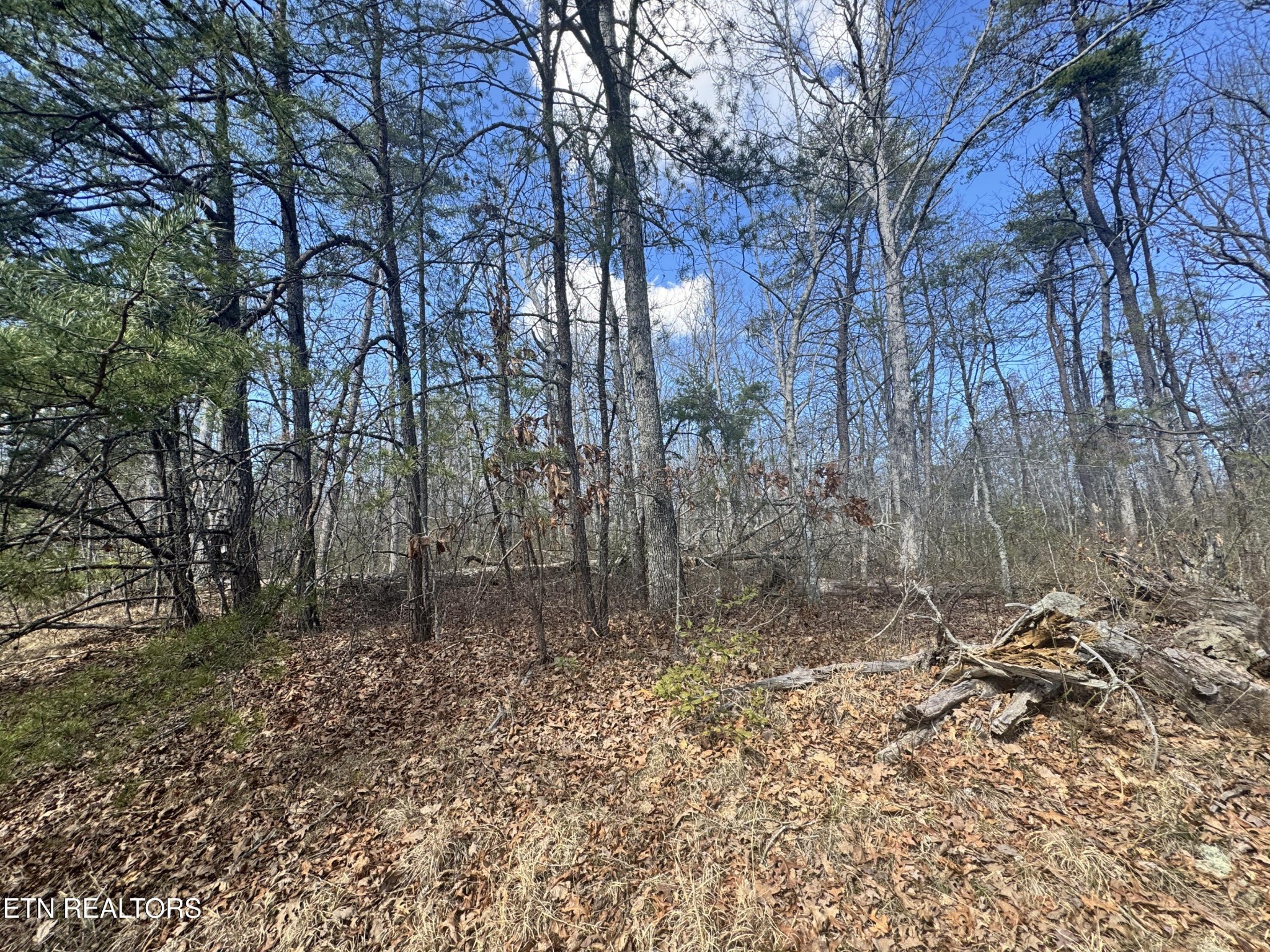 0 Divide Trail Monterey TN 38574