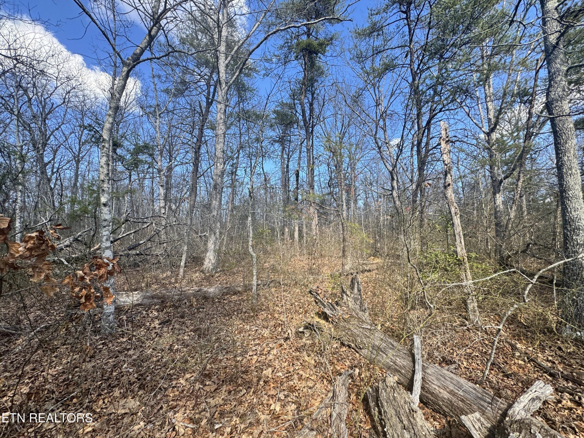0 Divide Trail Monterey TN 38574