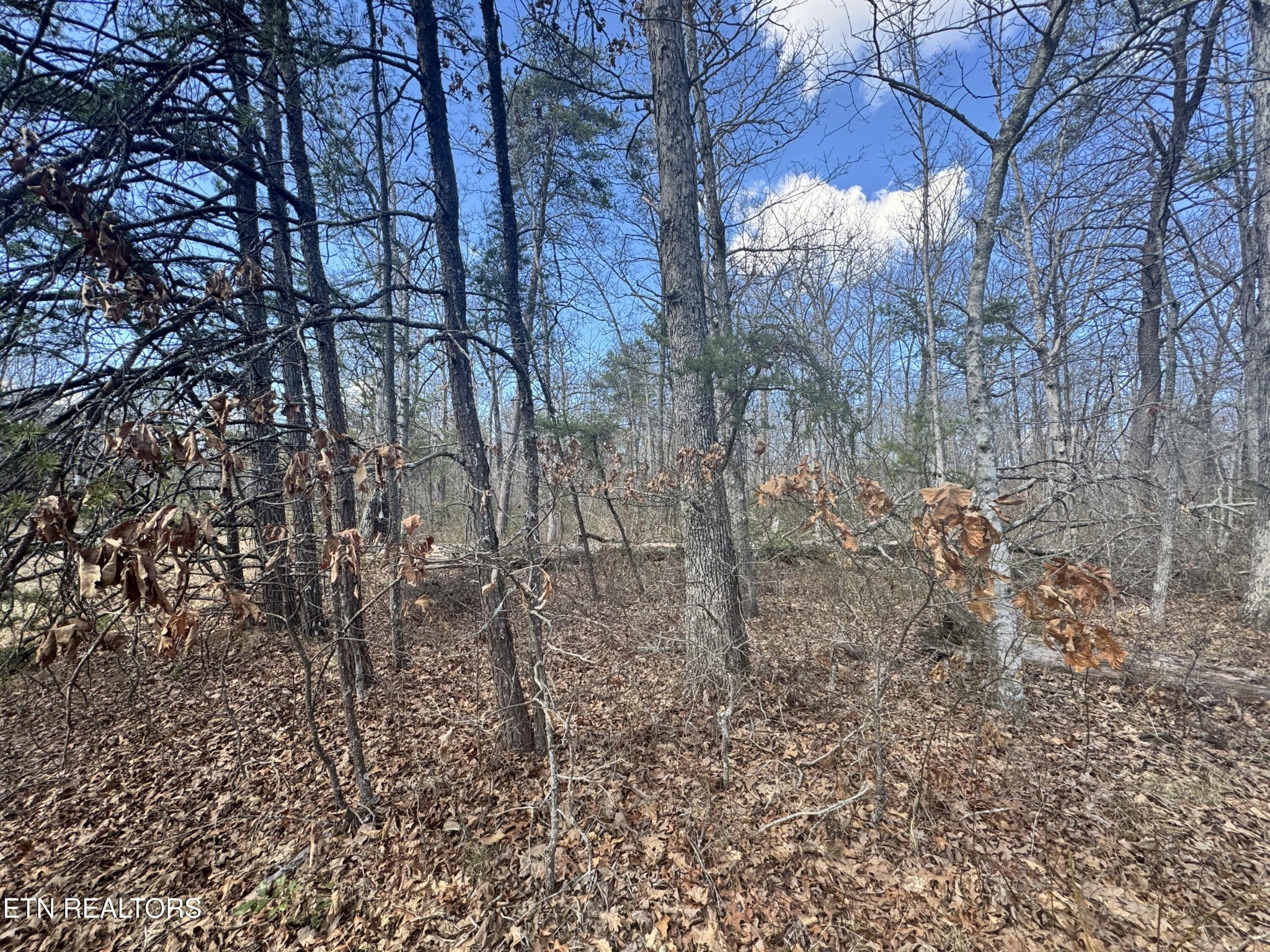 0 Divide Trail Monterey TN 38574