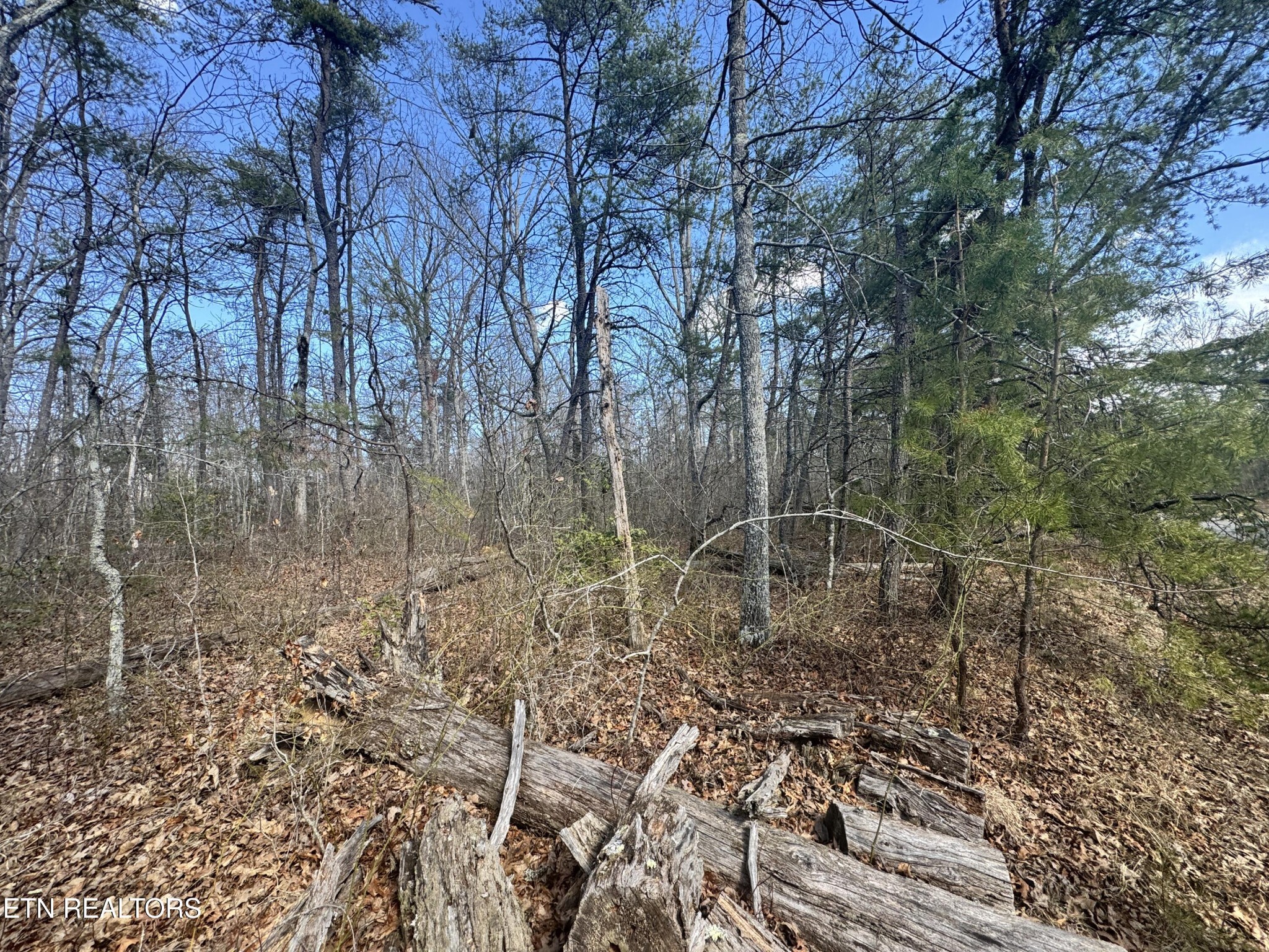 0 Divide Trail Monterey TN 38574