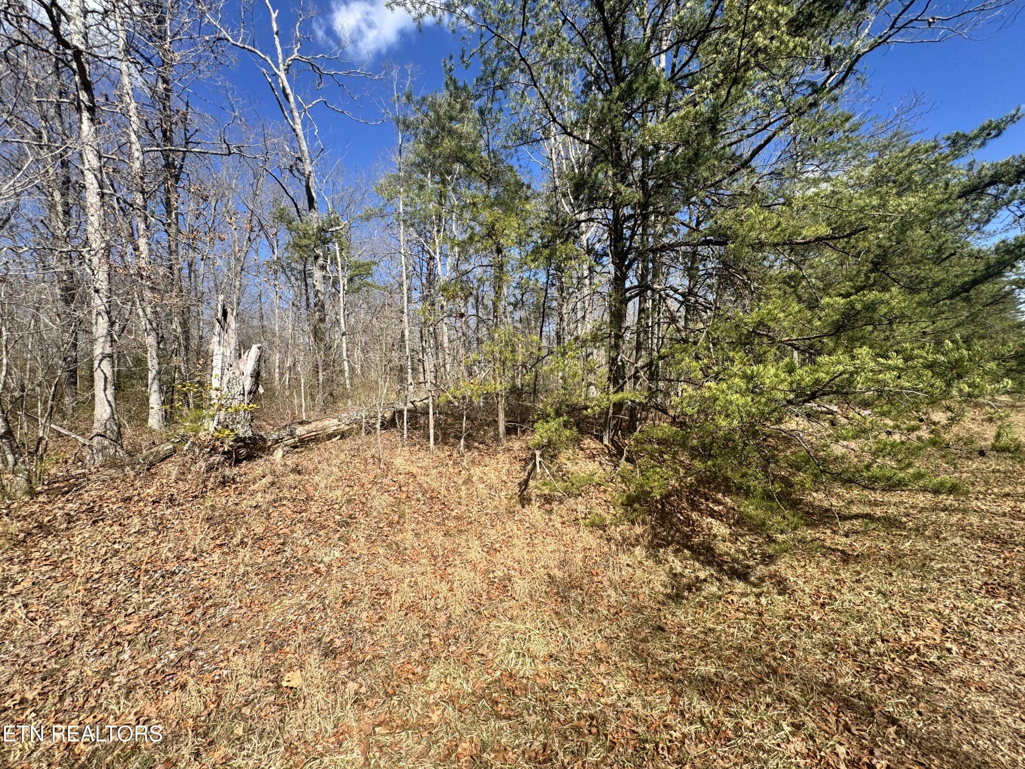0 Divide Trail Monterey TN 38574