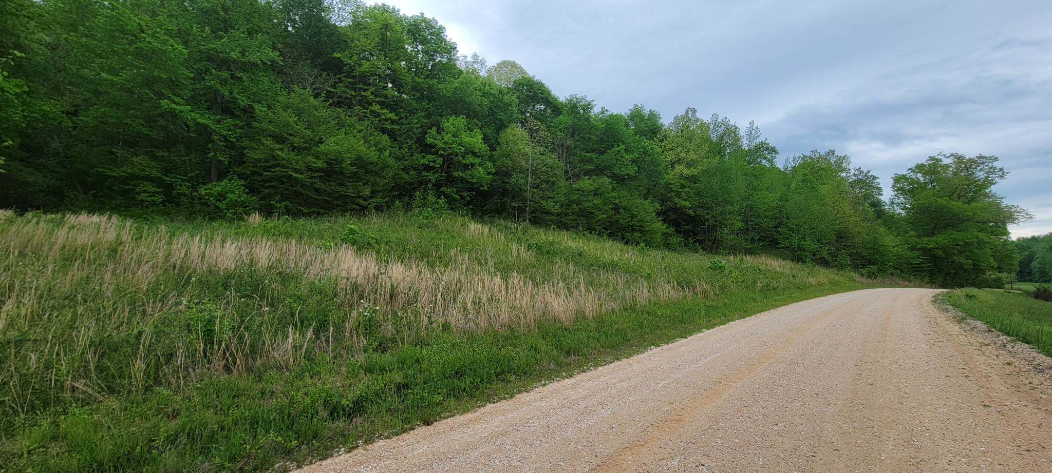 0 Jack Saunders Road Waverly TN 37185