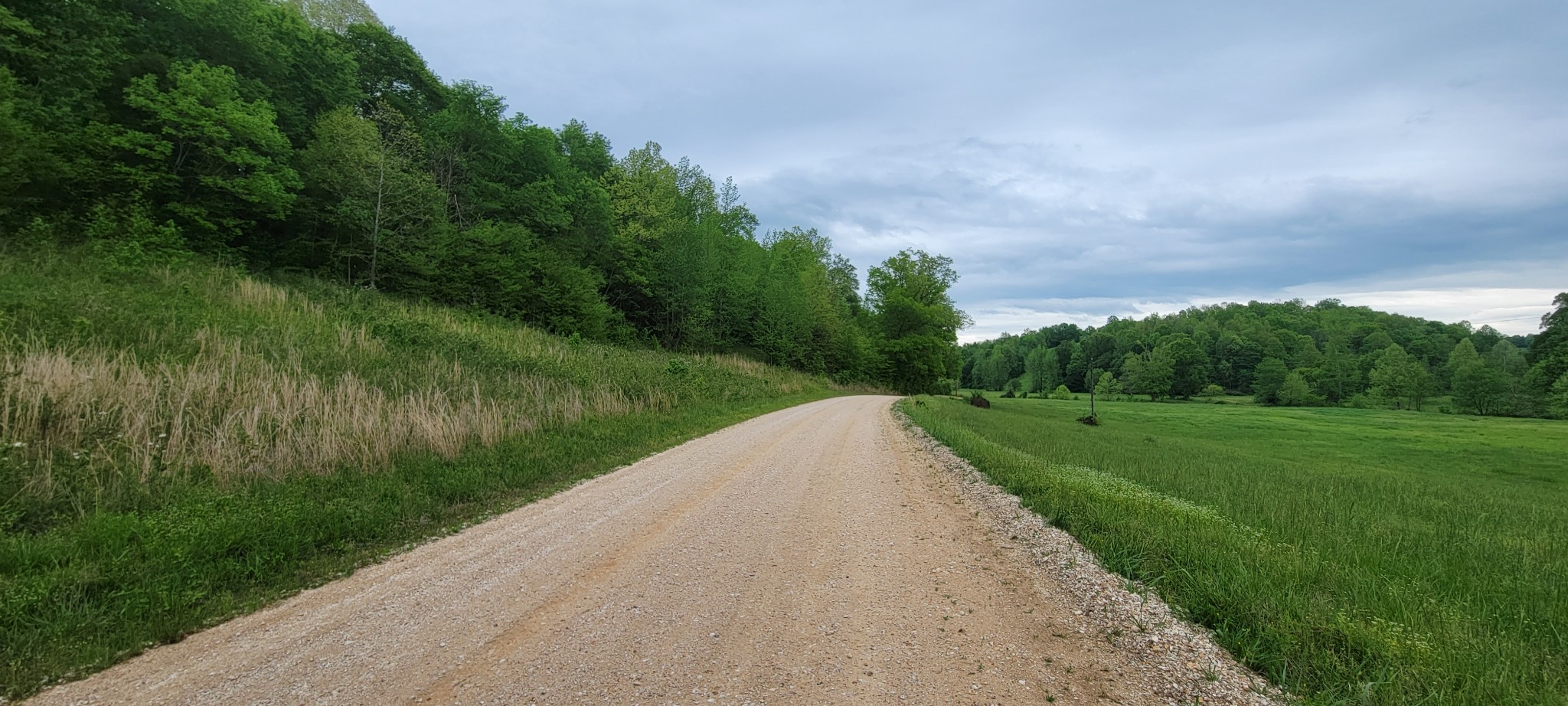 0 Jack Saunders Road Waverly TN 37185