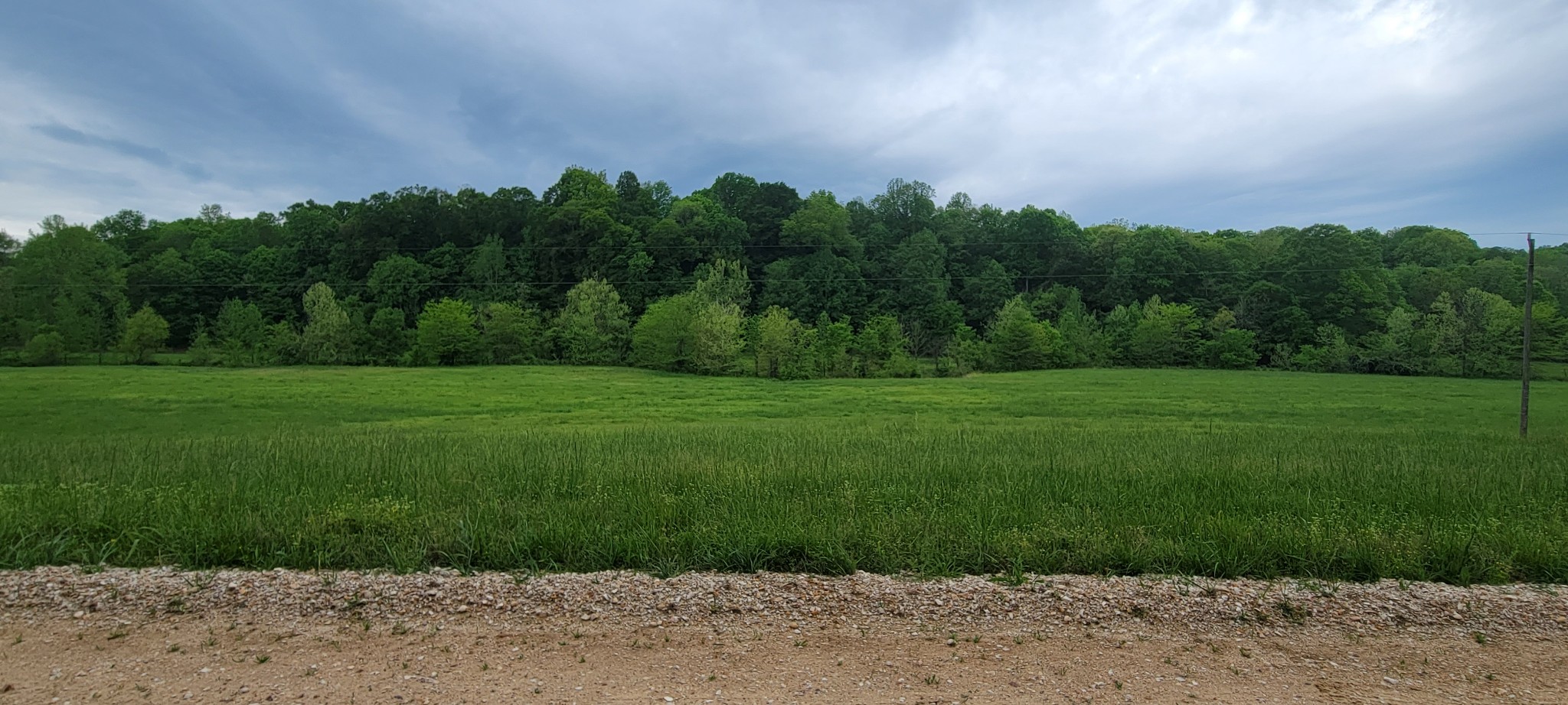 0 Jack Saunders Road Waverly TN 37185