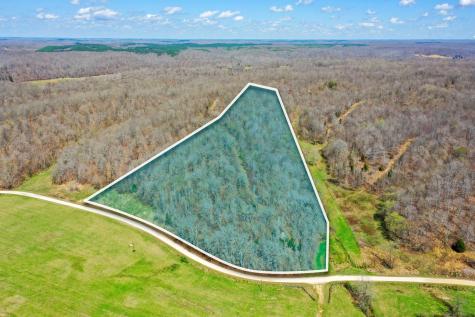 0 Jack Saunders Road Waverly TN 37185