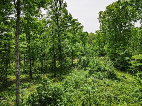 1855 Shiloh Church Road Camden TN 38320
