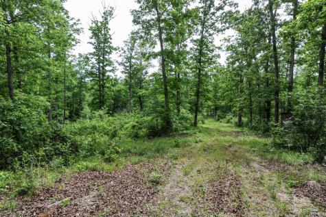 1855 Shiloh Church Road Camden TN 38320